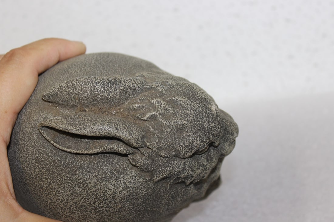 A Resin Rabbit - 5