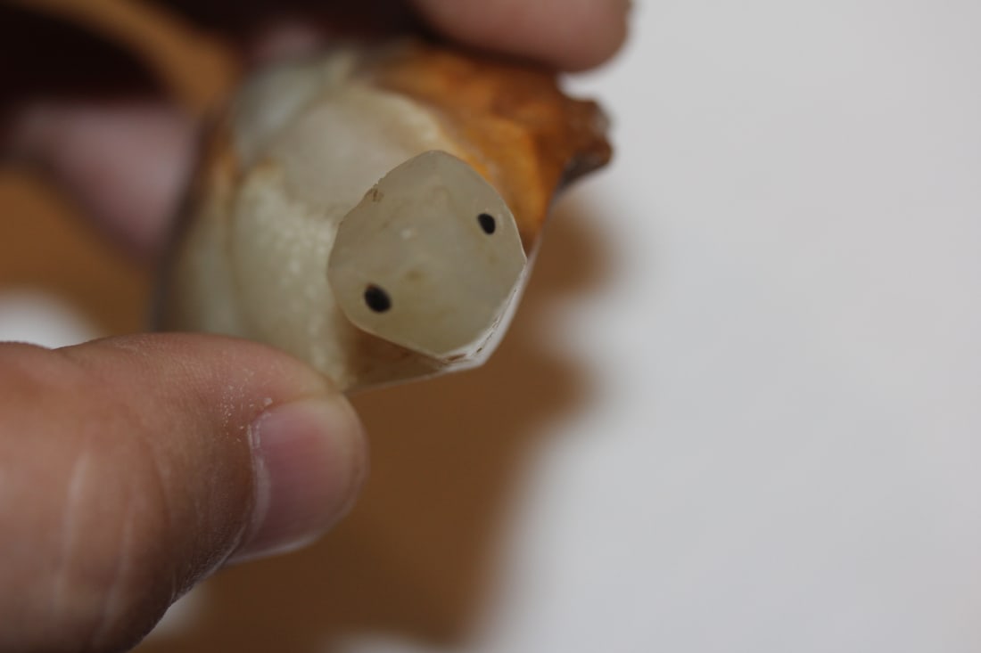 Onyx Turtle - 3
