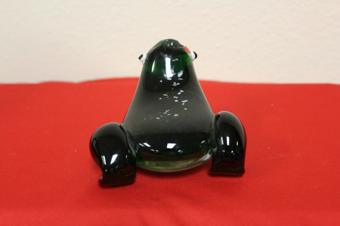 A Glass Frog - 3