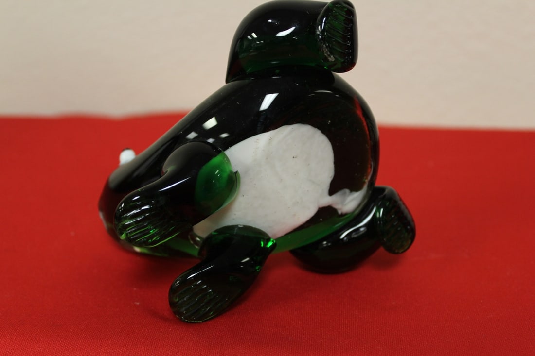 A Glass Frog - 4