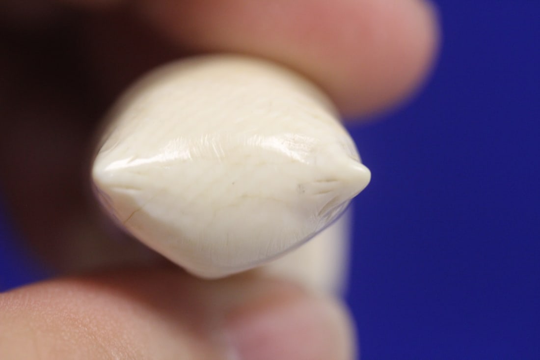 A Carved Bone Owl - 5