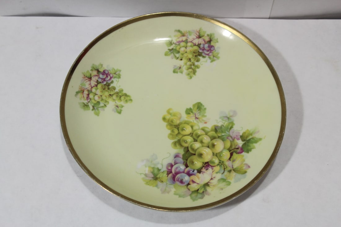 A Vintage German Plate: handpainted - 8 1/8" in diameter