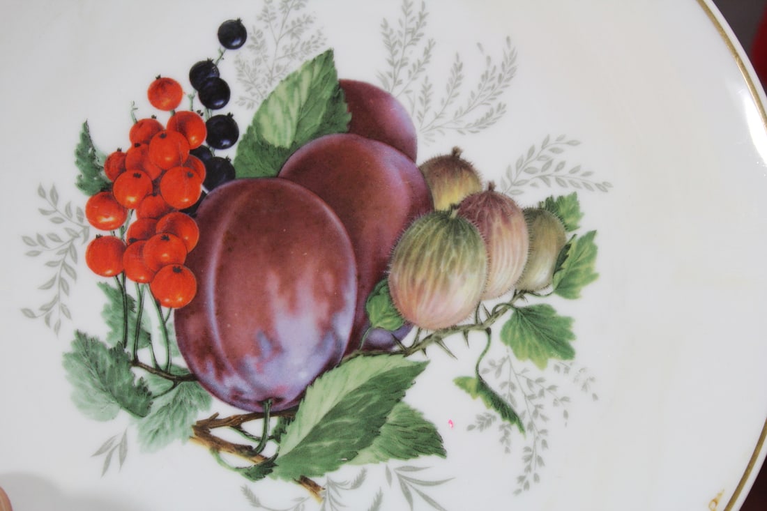 A German Fruit Plate - 2
