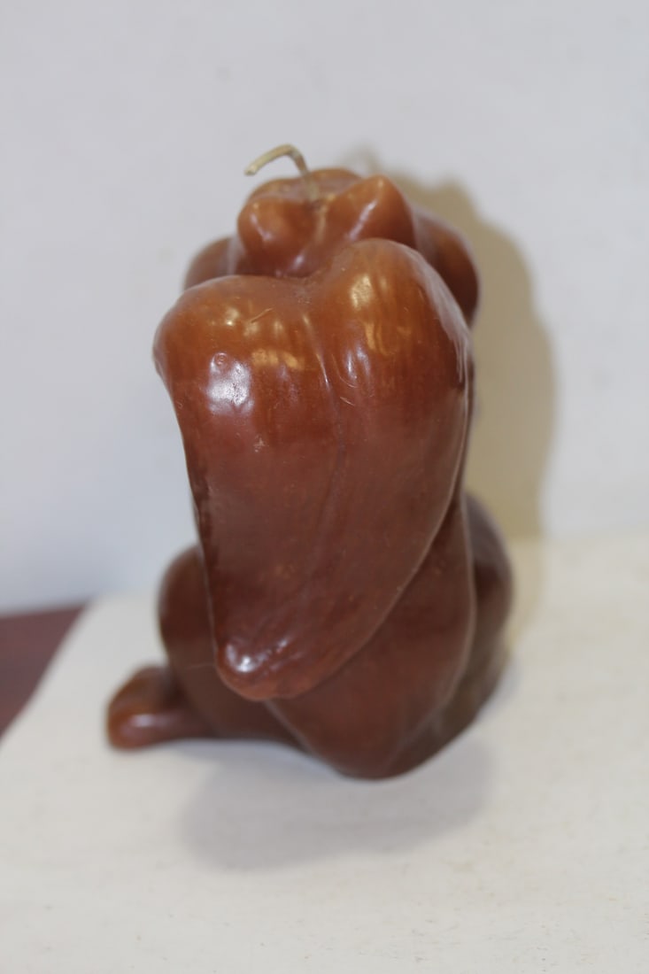 A Racoon Candle - 3