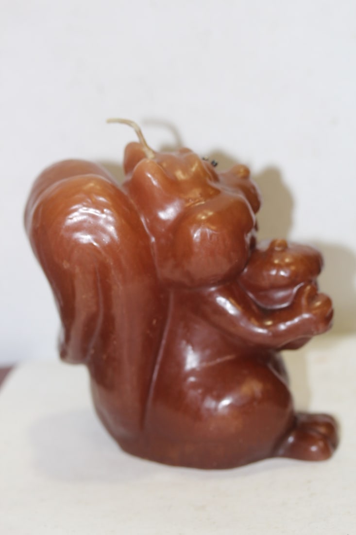 A Racoon Candle - 4