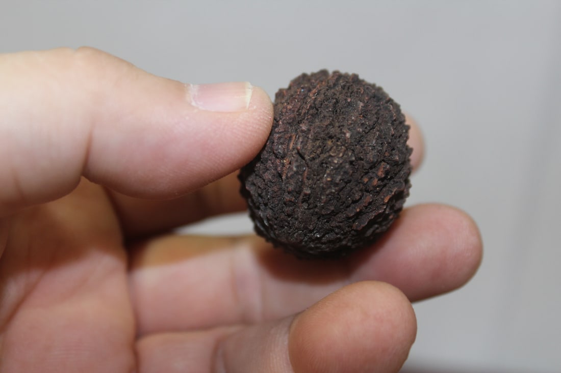 A Ceramic Nut - 4