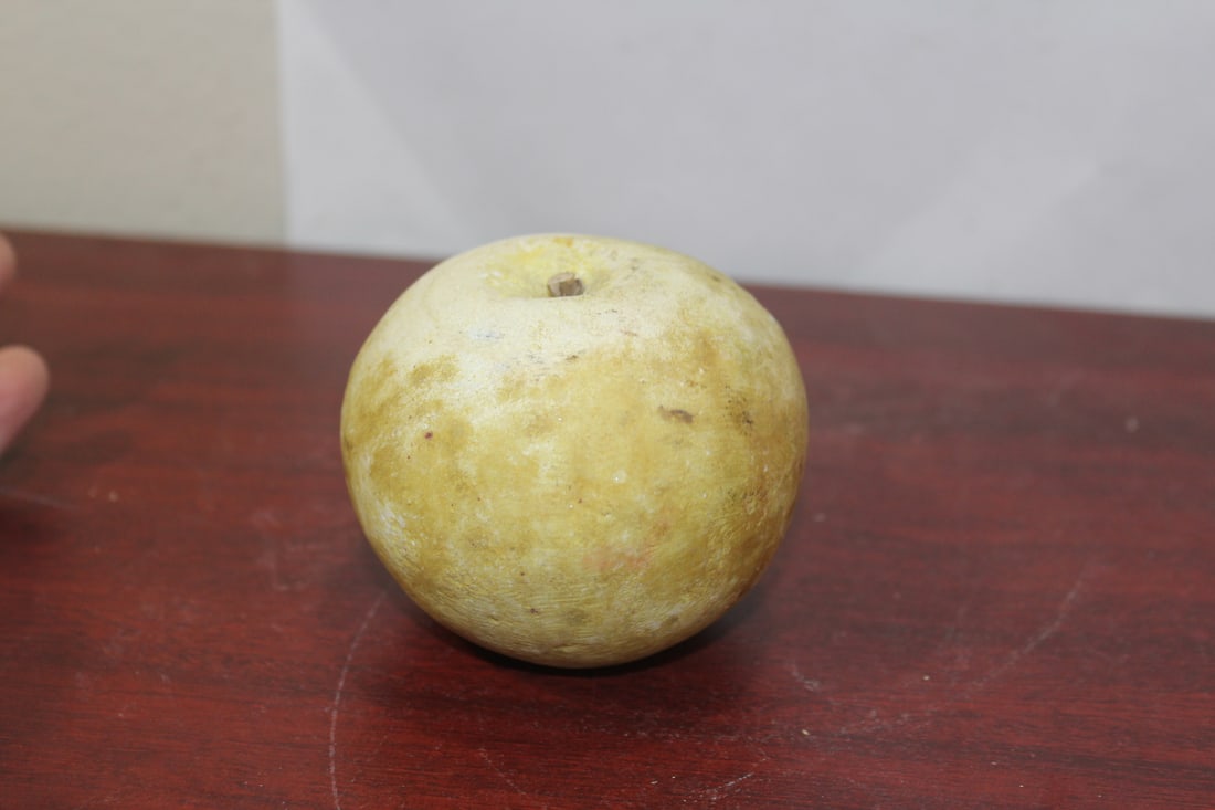 A Real Size Stone Pear - 2
