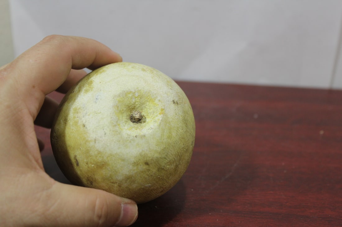 A Real Size Stone Pear - 4