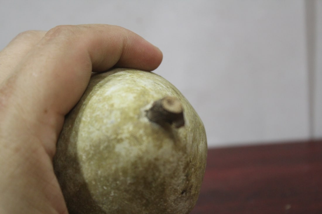 A Real Size Stone Pear - 5