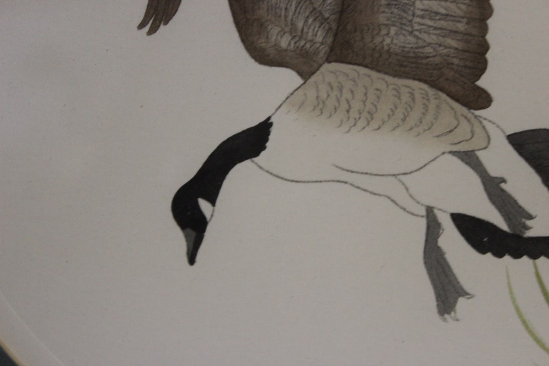 A Signed (Pencil) Etching/Litograph/Watercolour - 3