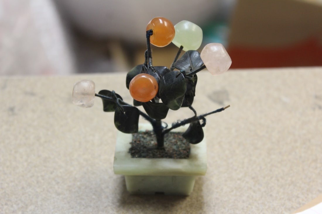 Small Jade Tree - 3