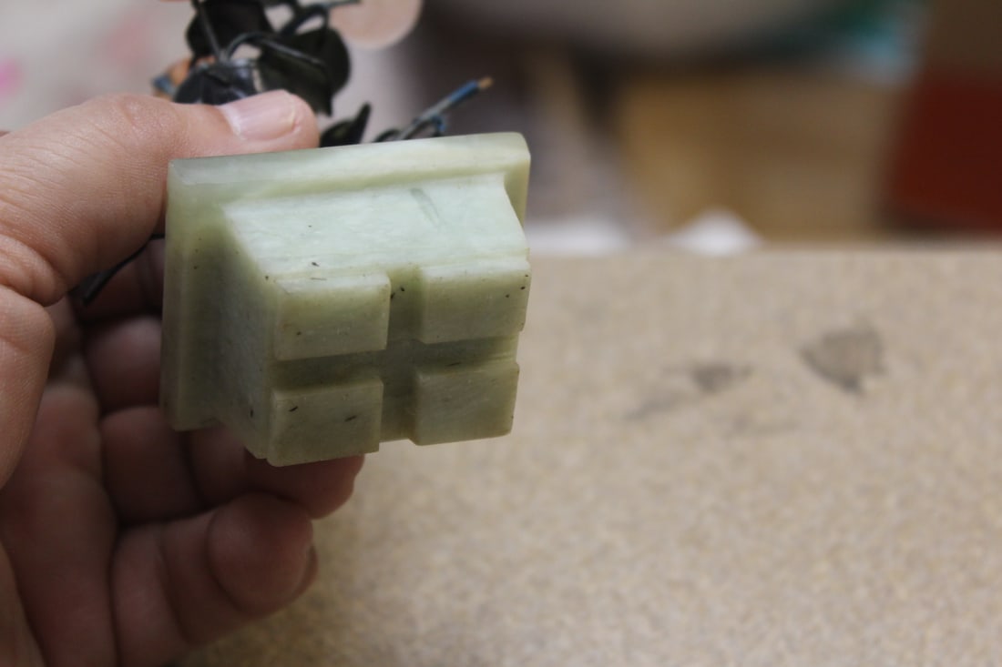 Small Jade Tree - 4