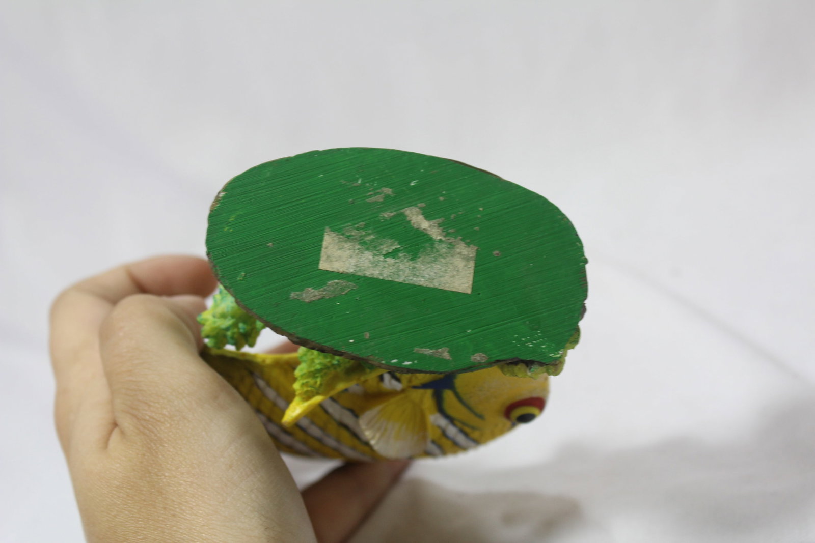 A Resin Fish - 4