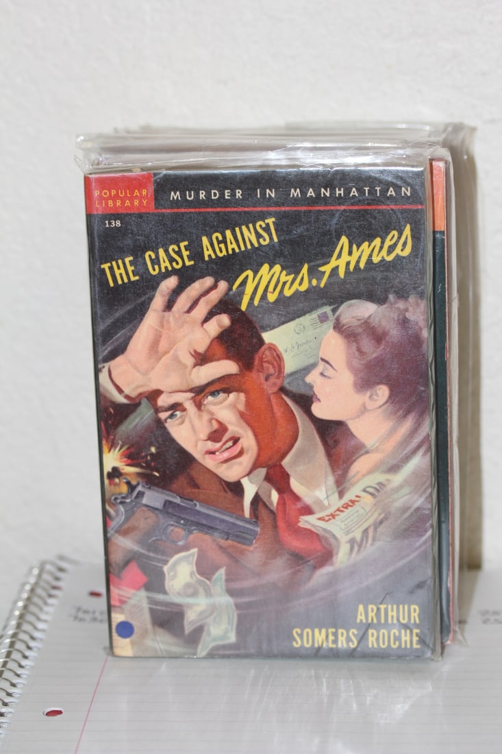 The Case Against Mrs Ames: paperback novel