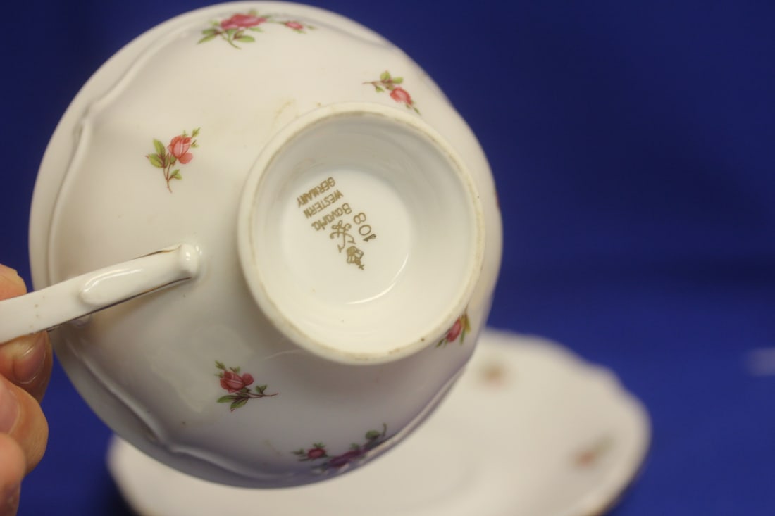 Bavaria Cup and Saucer - 5