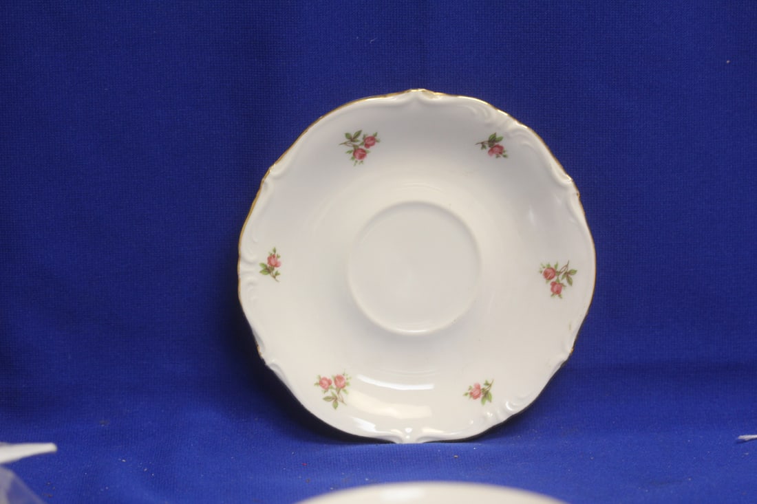 Bavaria Cup and Saucer - 6