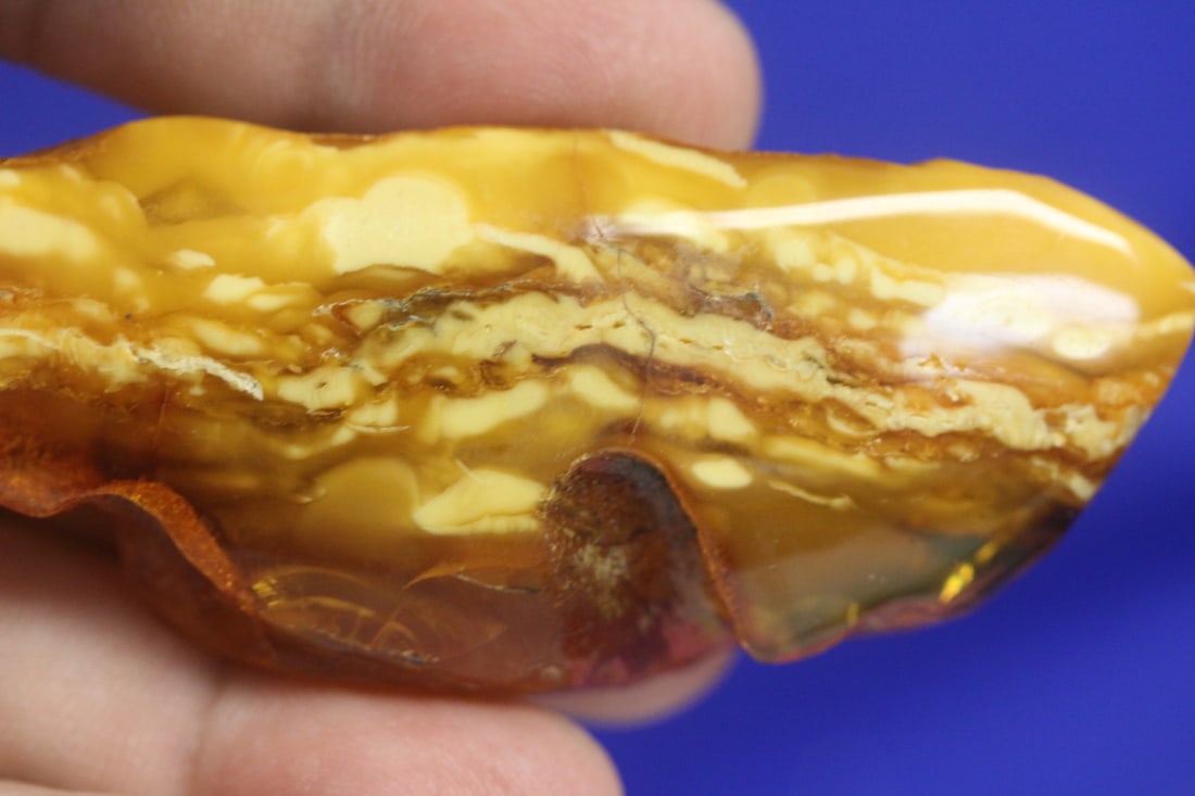 Amber Root Pin - 4