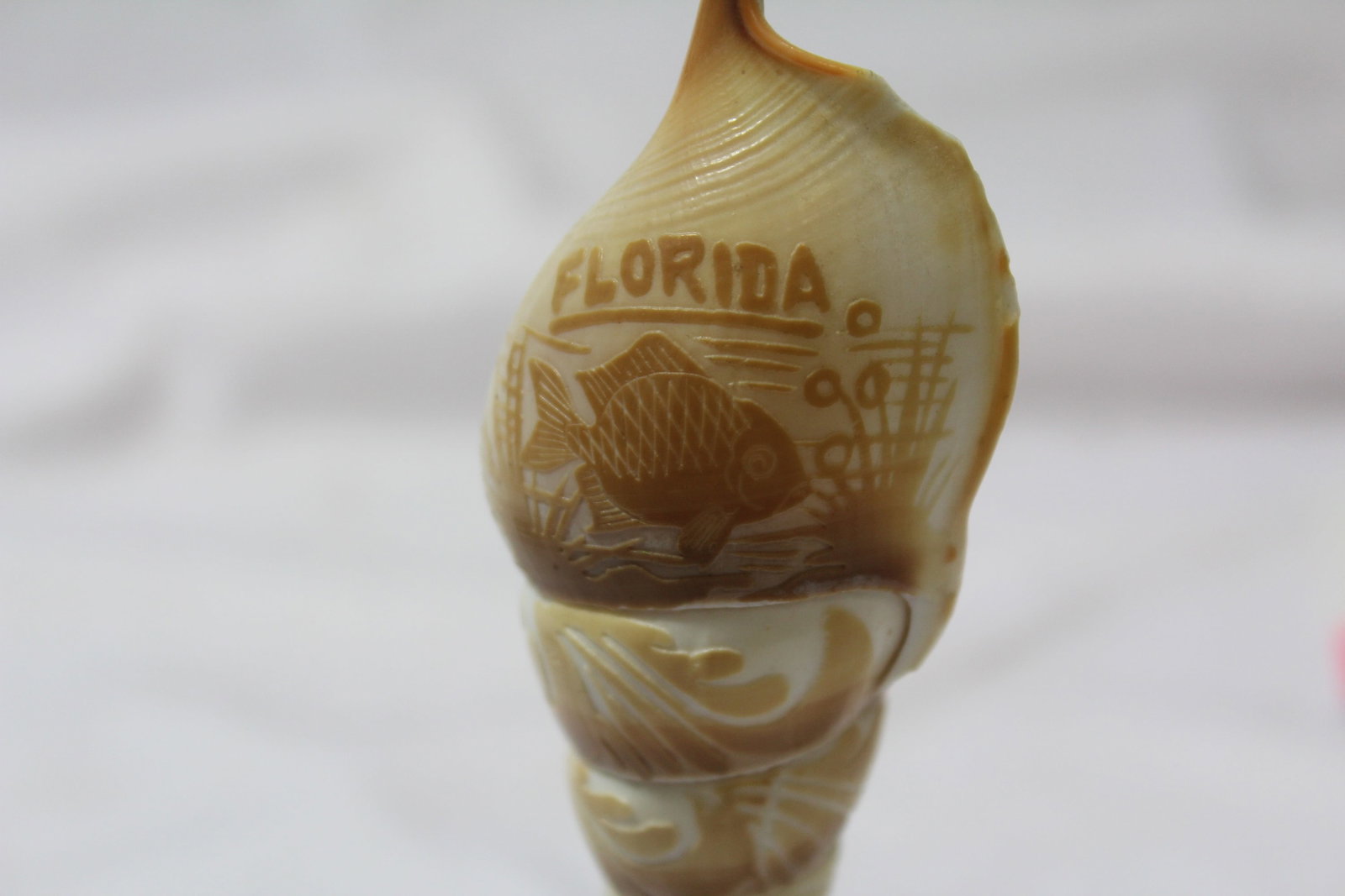 A Shell Art - 4