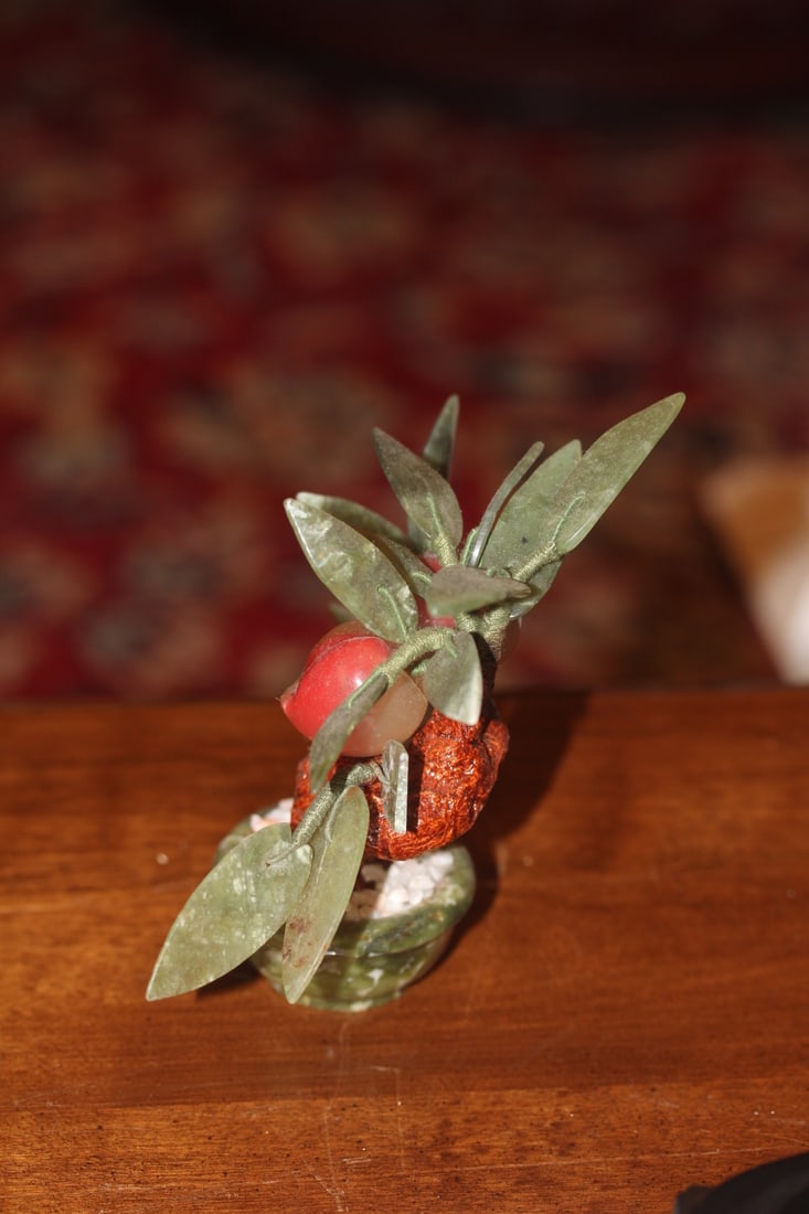 Jade Tree - 2