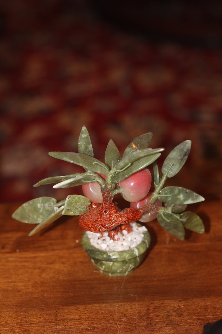 Jade Tree - 3