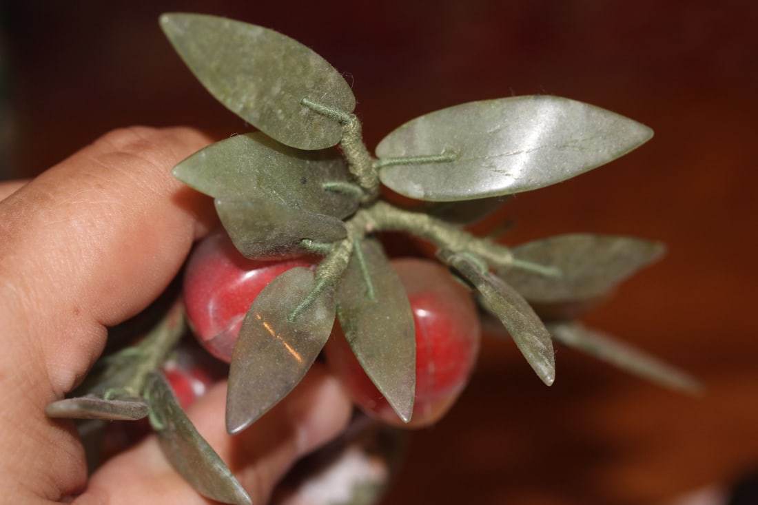 Jade Tree - 6
