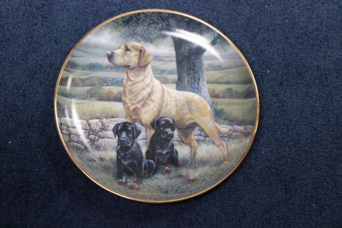 A Collector's Plate by Ruane Manning: "Apple of My Eye" - 8 1/4 inches in diameter
