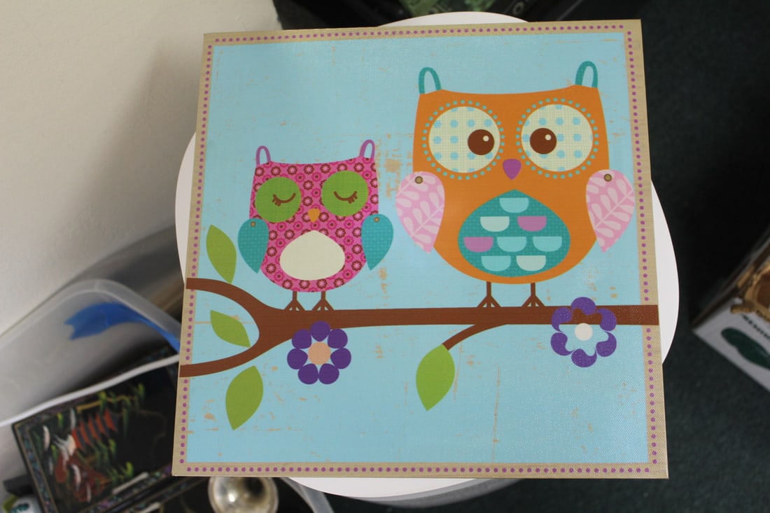 Owl Print on Canvas (1 of 3)