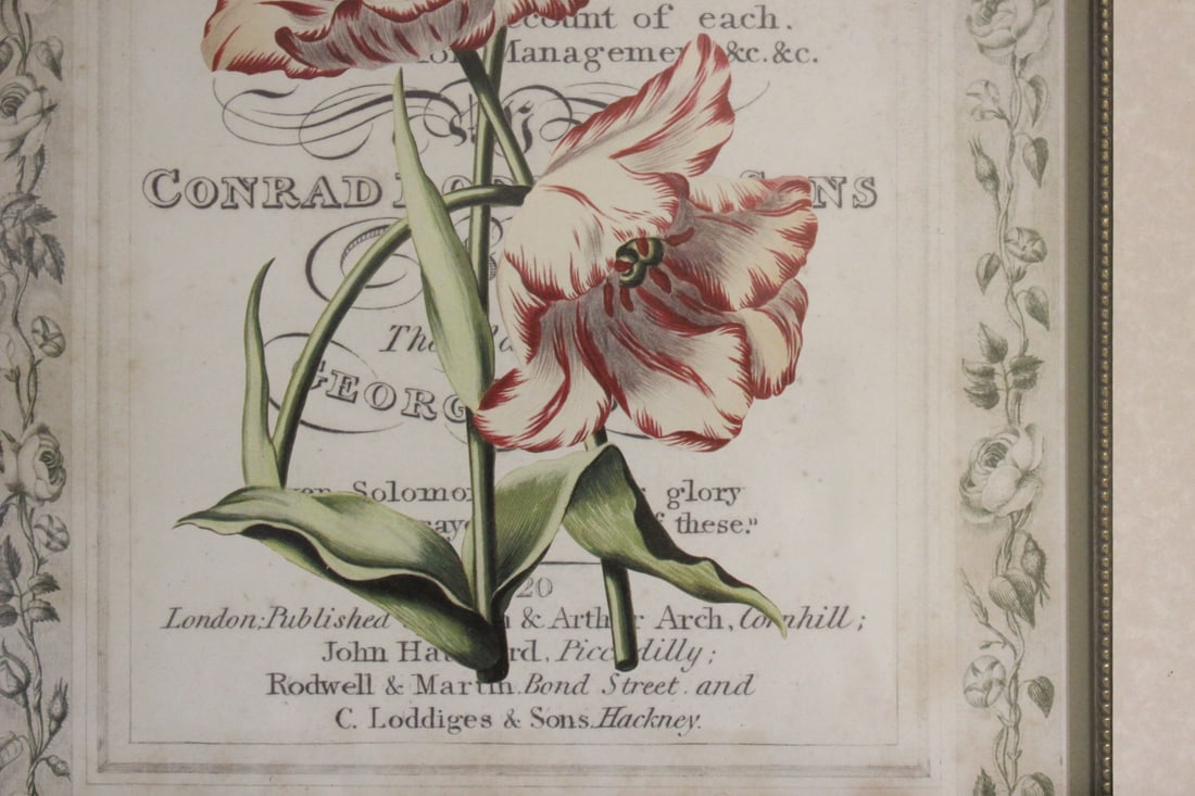 A Decorative Print - 3