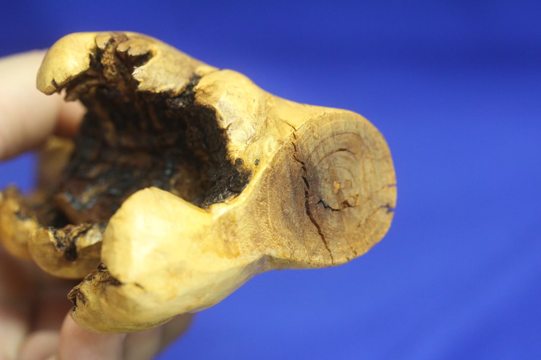 Root Wood Owl - 5
