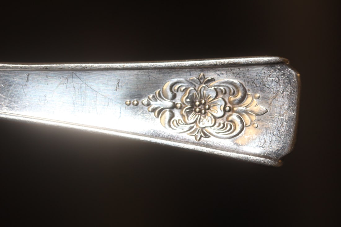 Silverplate Serving Spoon - 6