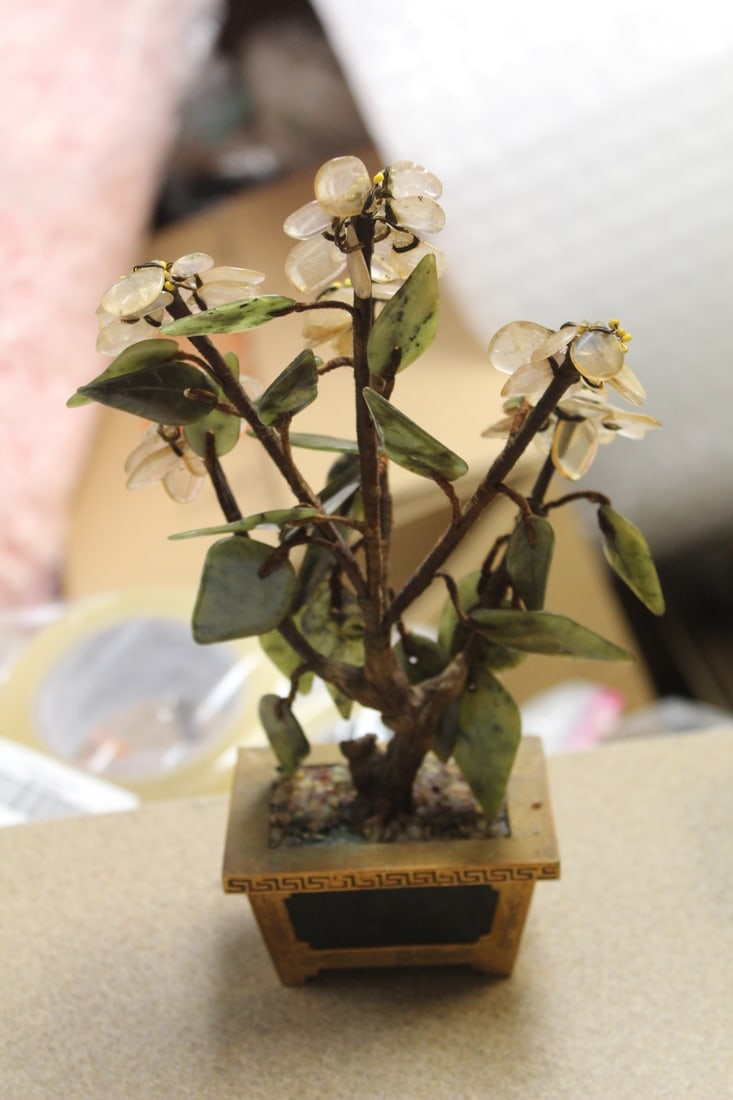 Jade Tree - 3