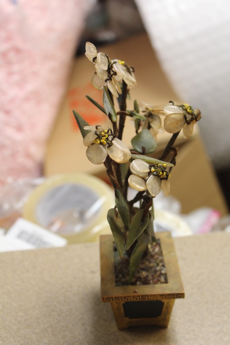 Jade Tree - 4