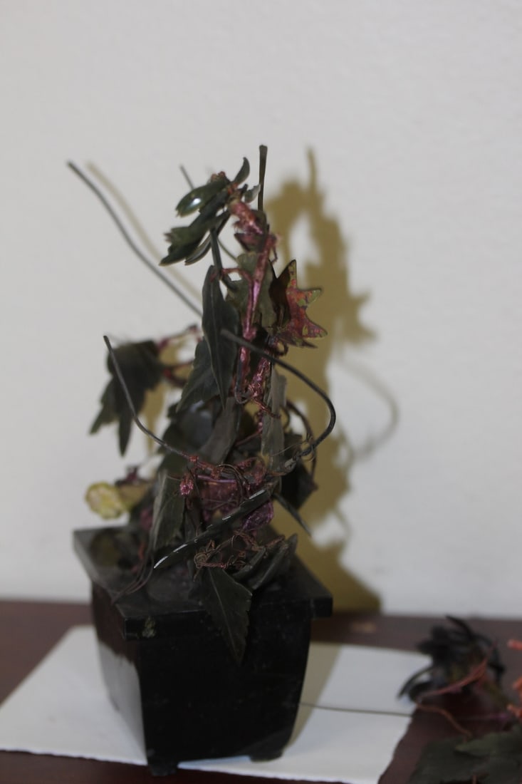 A Jade Tree - 6