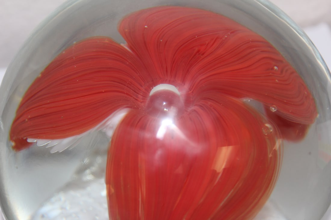 Large Signed Paperweight - 2