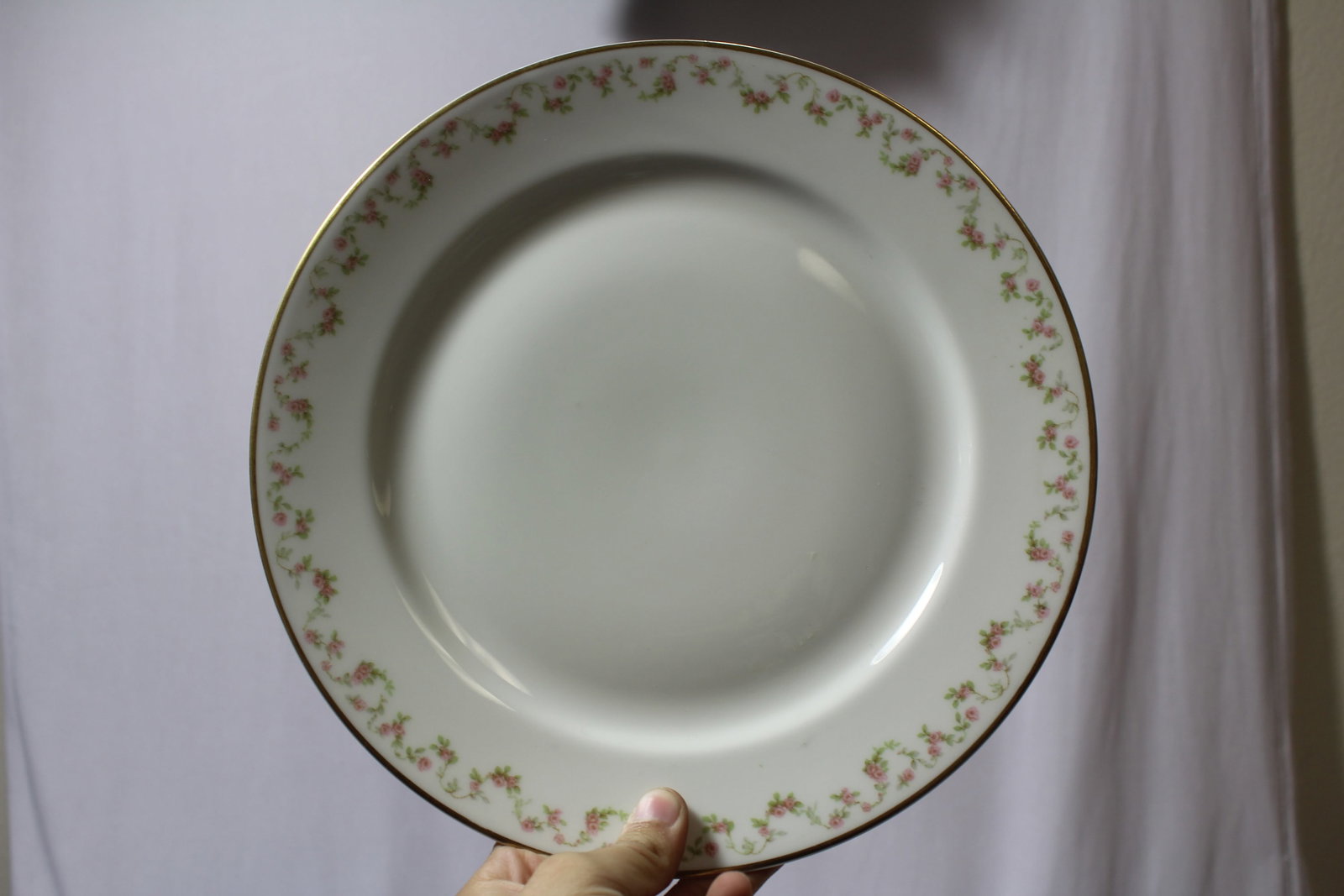 A Limoges Plate: 9 3/4" in diameter