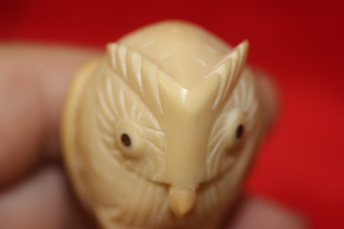 An Owl - 5