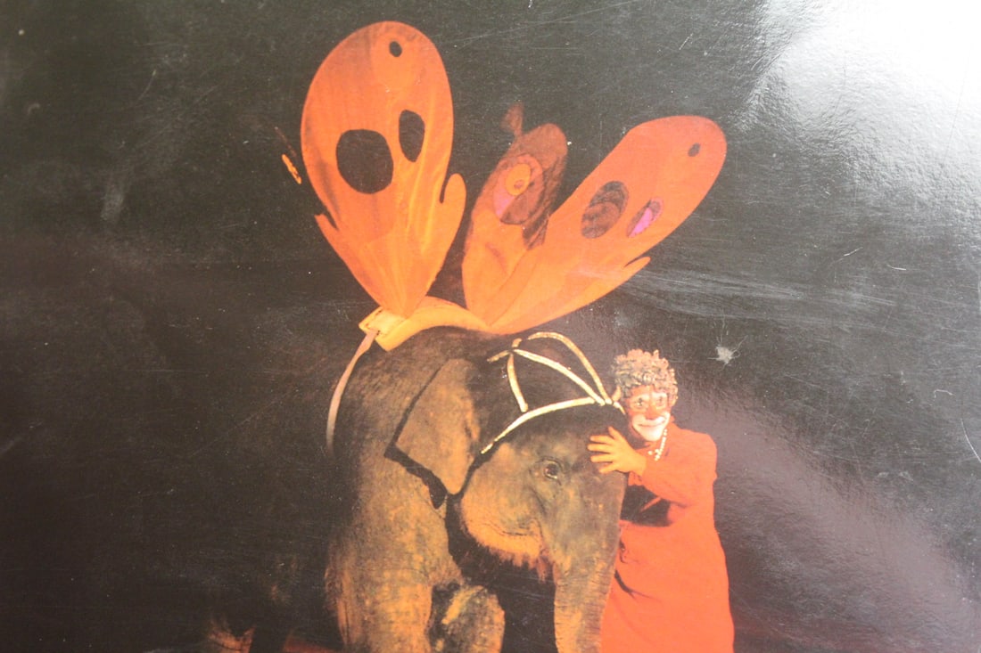 Softcover book - 2