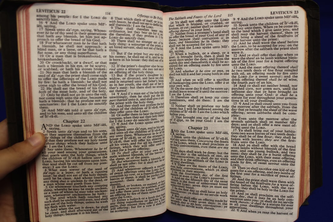 Holy Bible - 6