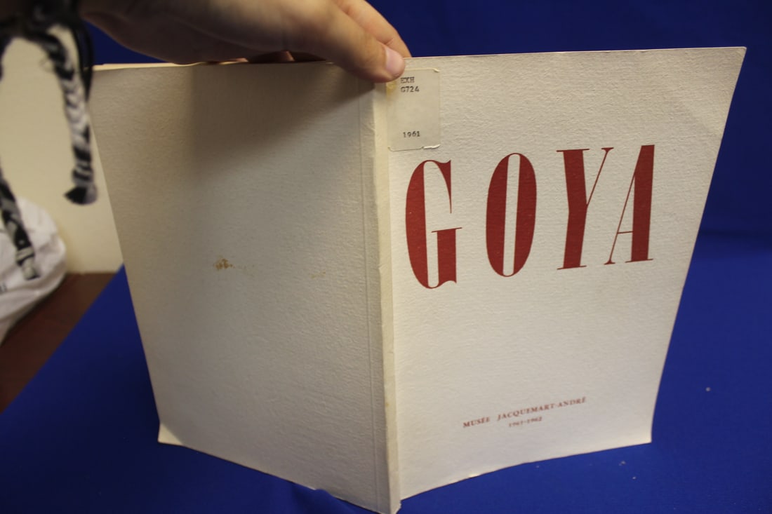 Soft Cover Book: Goya: as shown