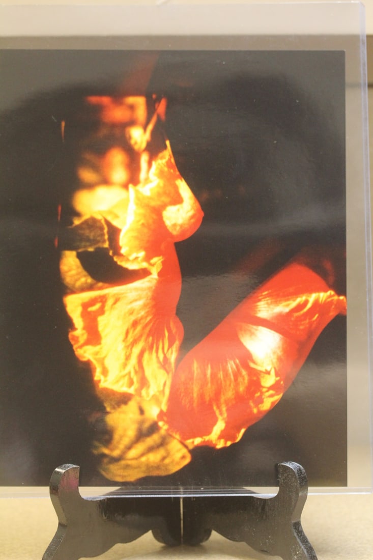 Photograph of a Nude Stereotype: appeared to be an original colour photograph gloss finish - 9 3/4" x 8 1/4"