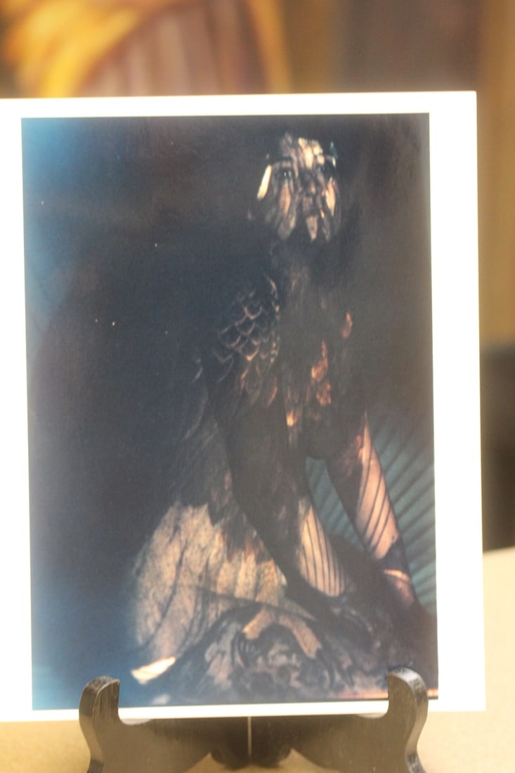 Photograph of a Nude Stereotype: appeared to be an original colour photograph - gloss finish - 10" x 8"