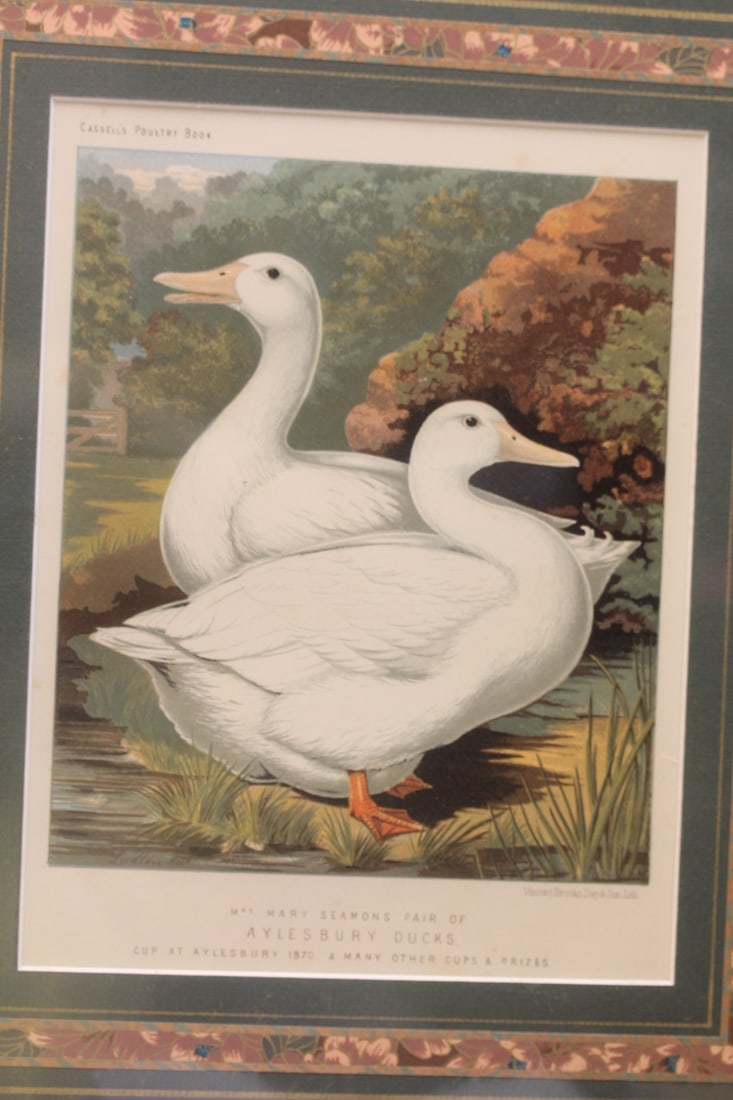 Antique Steel Engraving: unframed