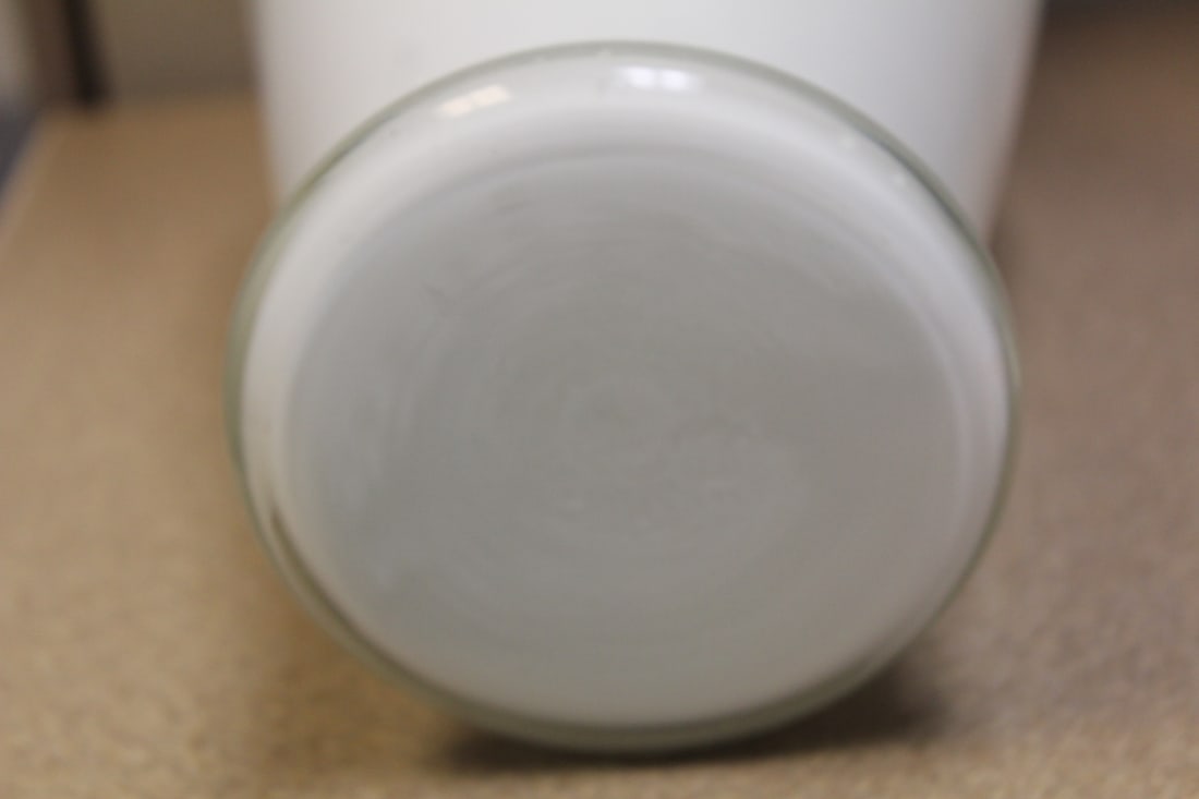 Glass Vase - 5