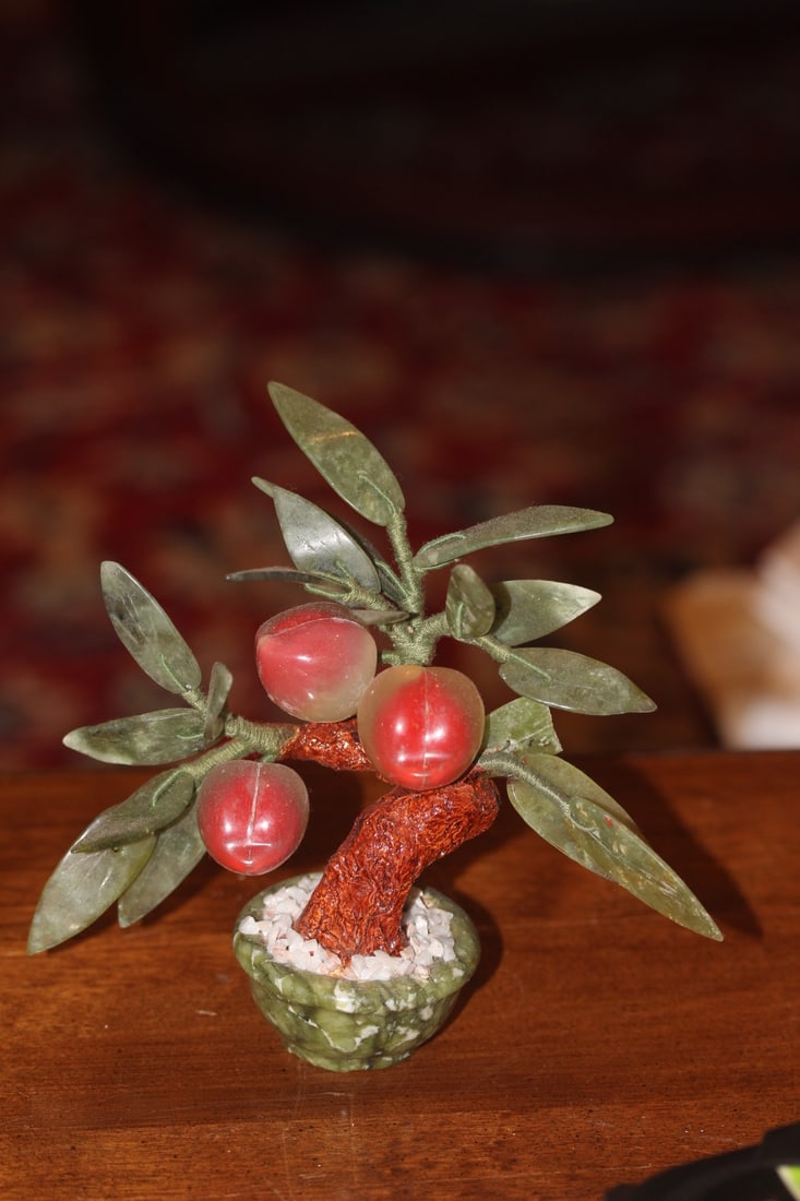Jade Tree: 6" tall