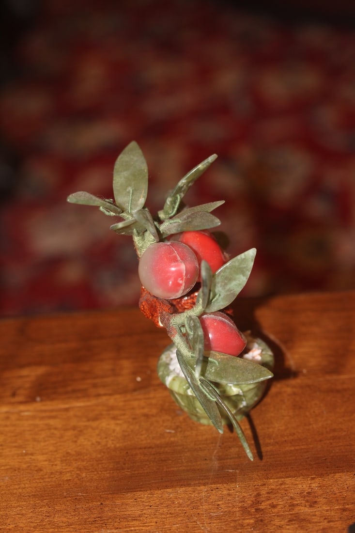 Jade Tree - 4