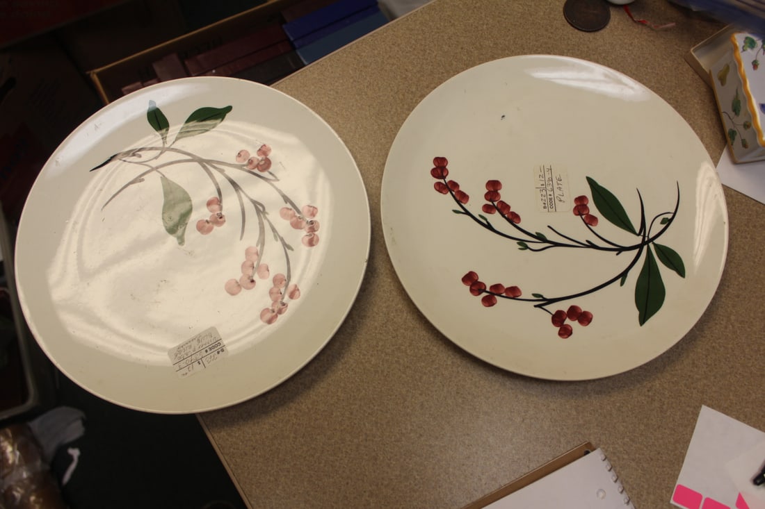 Lot of 2 Blue Ridge Dinner Plates: 10 1/4" in diameter each - please note: needs cleaning