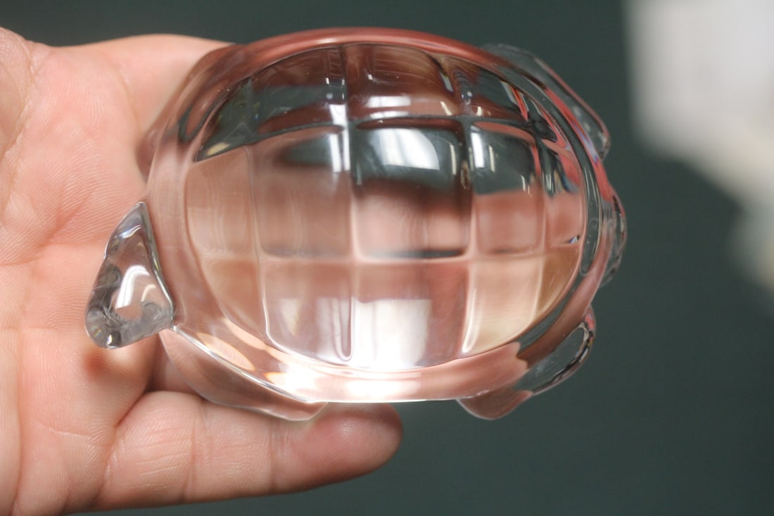 Signed Baccarat Turtle - 4