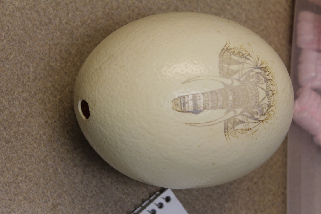 Ostrich Egg: carved and signed: Rusty