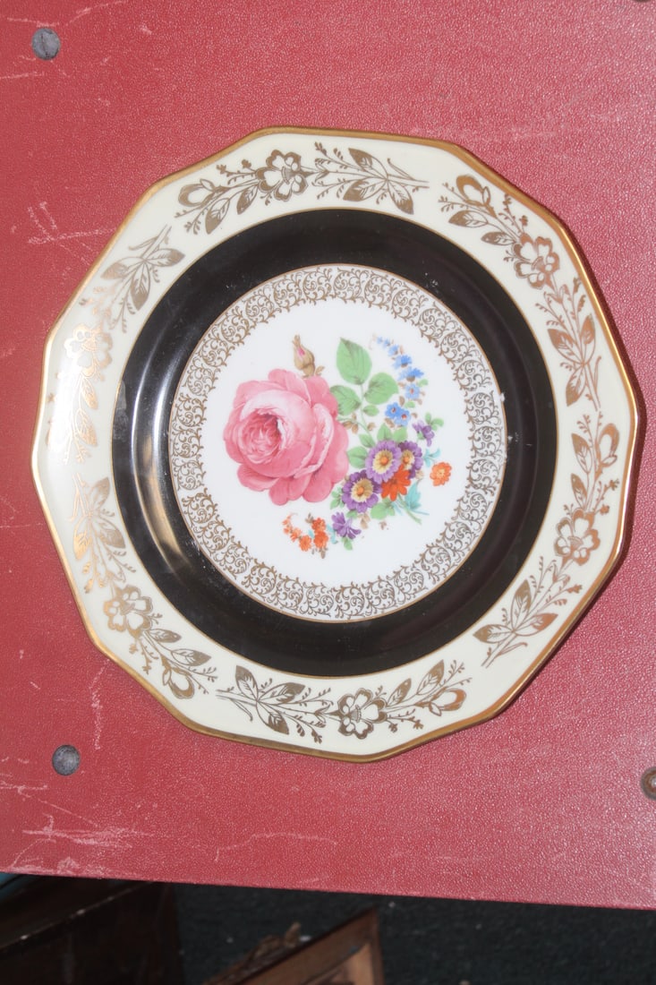 Schumann Bavaria Rose Plate: 11 inches in diameter
