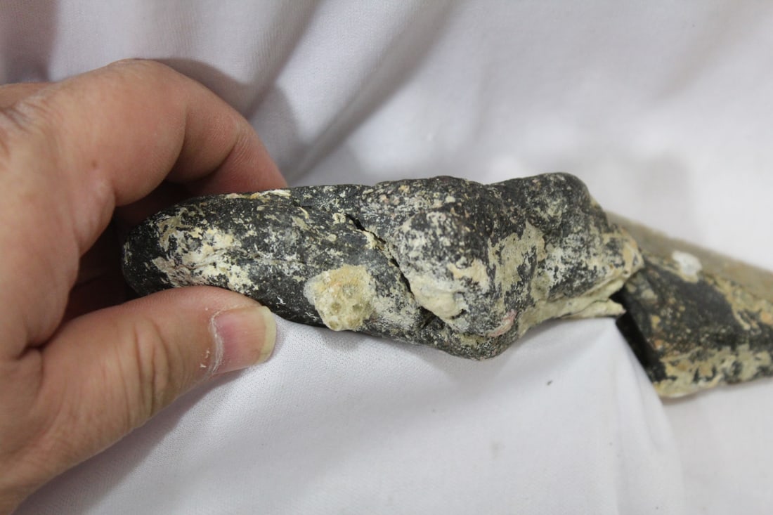A Large Partial Megalodon Tooth - 4